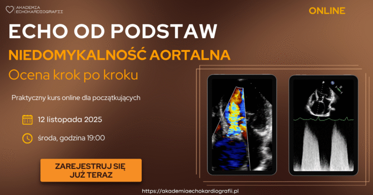 Kurs echo dla początkujących z oceny niedomykalności aortalnej