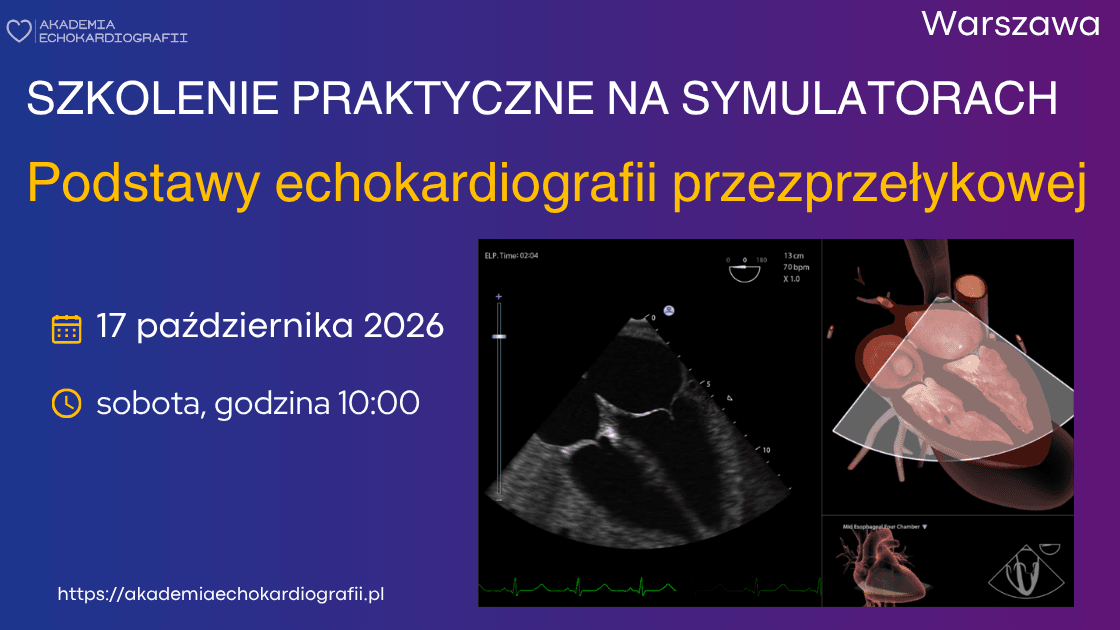 Echo przezprzzełykowe kurs